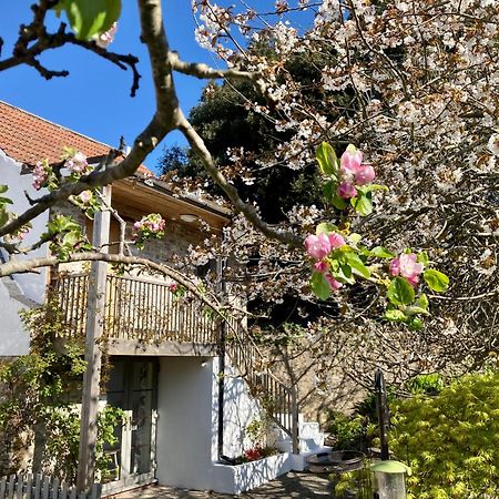 韦斯特伯里十字街住宿加早餐旅馆 Westbury-sub-Mendip 外观 照片