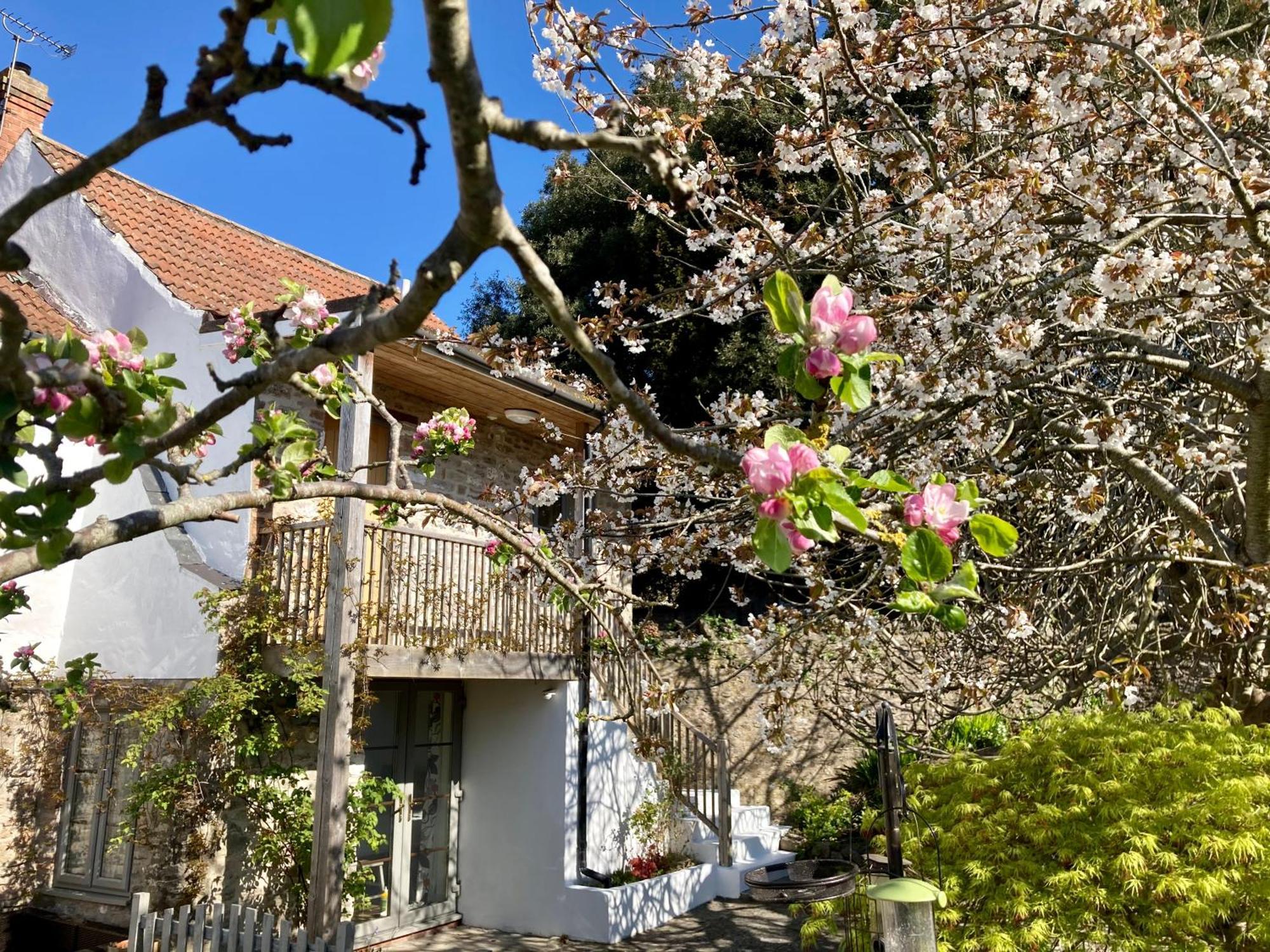韦斯特伯里十字街住宿加早餐旅馆 Westbury-sub-Mendip 外观 照片